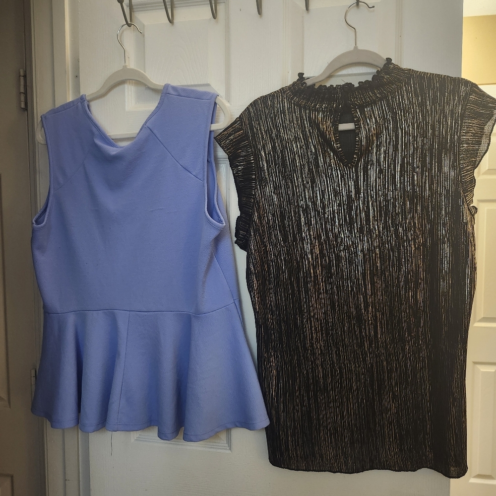 Blue Peplum Top and Black Metallic Blouse